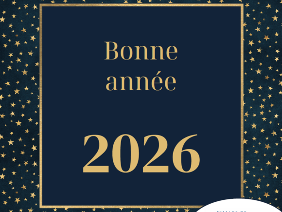 Nous vous souhaitons de belle fêtes de fin d'année !!!